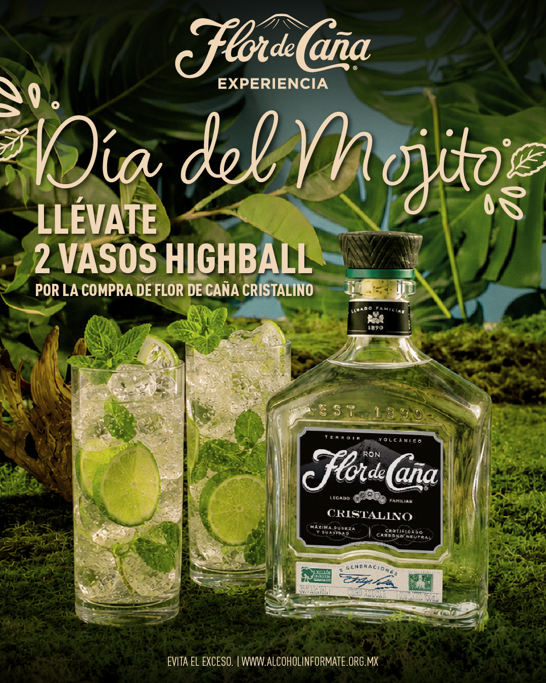 DÍA DEL MOJITO RON FLOR DE CAÑA CRISTALINO RECIBE DE REGALO 2 VASOS HIGHBALL