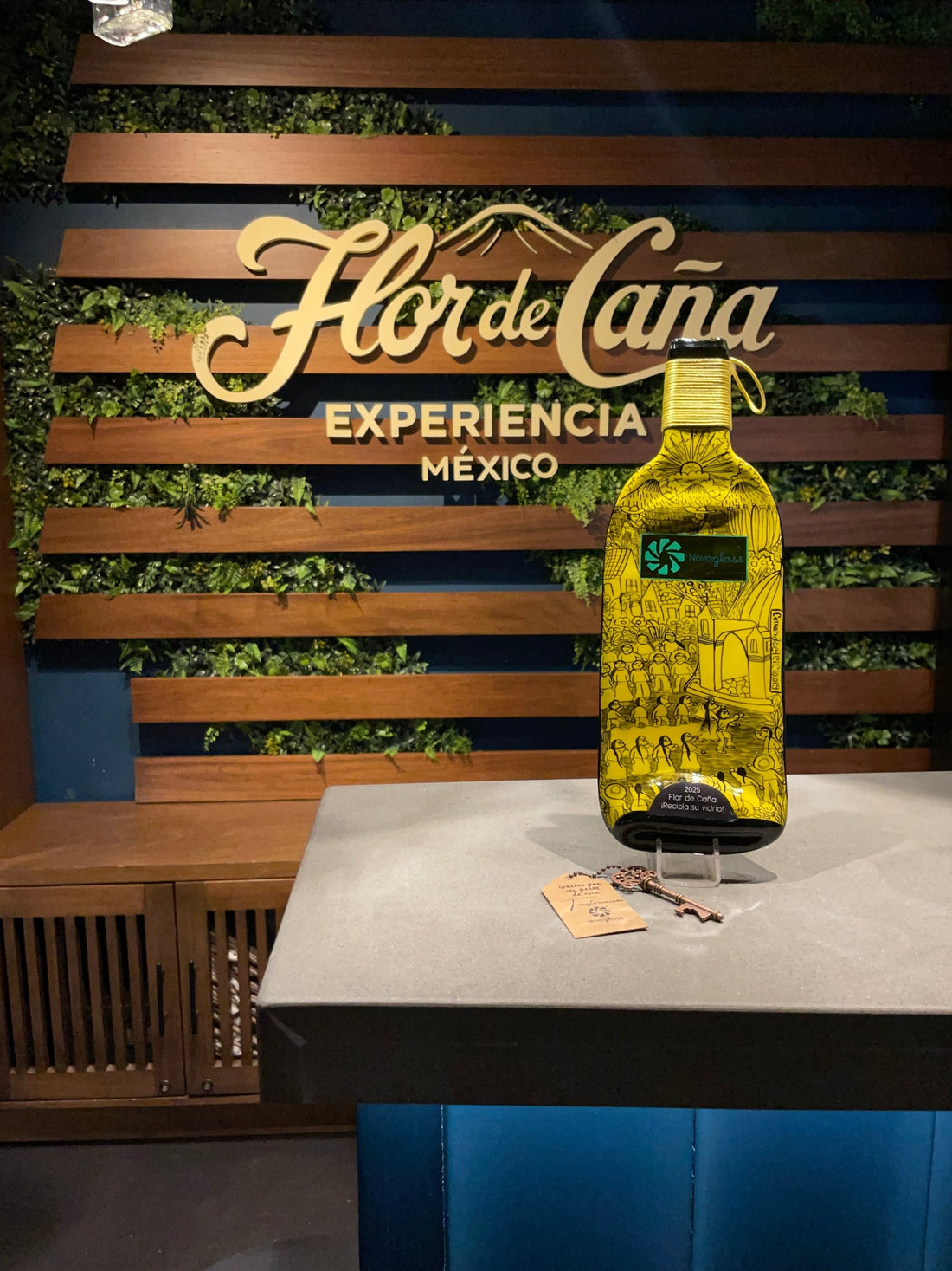 RECICLAJE FLOR DE CAÑA EXPERIENCIA MÉXICO FISAC
